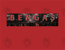 Tablet Screenshot of bengas.net